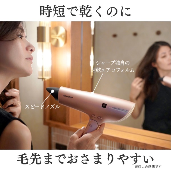 シャープ 風のチカラで美髪ケア 多彩なモードでヘアドライ プラズマクラスター ドライヤー　ＩＢ－ＮＰ９