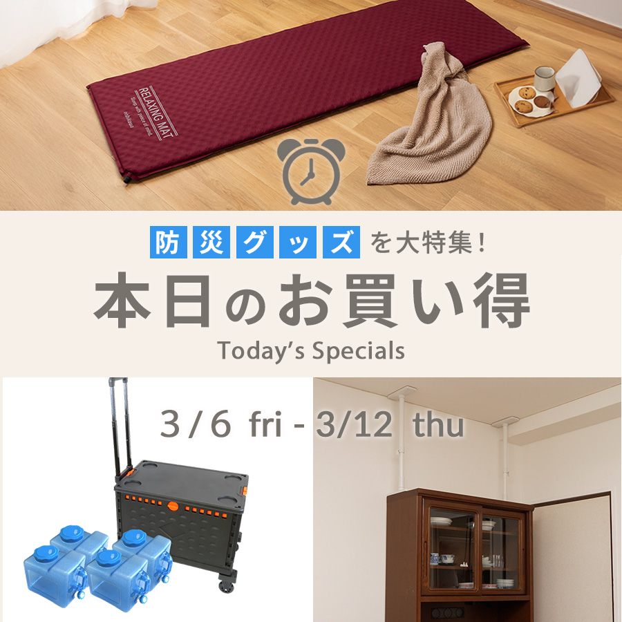 本日のお買い得