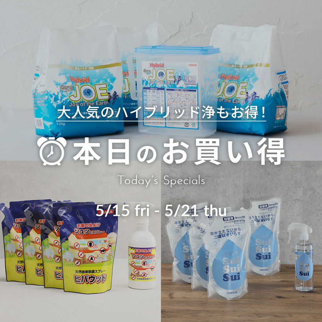 本日のお買い得