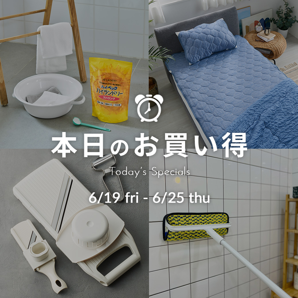 本日のお買い得
